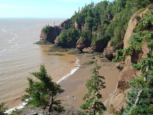 lookout: low tide