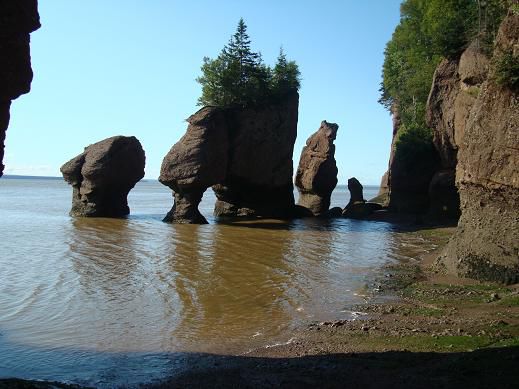ocean floor: high tide