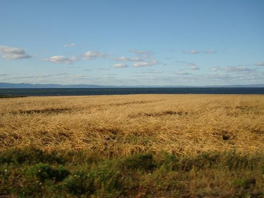 Die Hügel der Gaspésie im Hintergrund