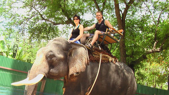 Mahoutfuehrerschein bestanden... 