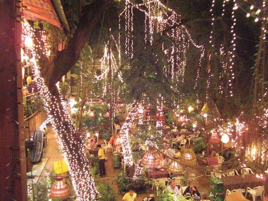 Restaurant Cabbages and Condoms in Bangkok. Super schoener Garten und leckeres Essen.