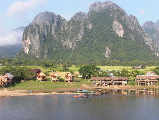 Im Fluss badende Rinder in Vang Vieng.