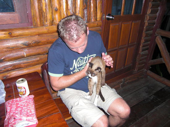 Marcus hat gestern Nacht noch vier neue Freunde gefunden... Hier die Kleinste davon...