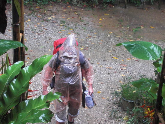 Auch wenn es  nur ca. 400 Meter vom Bungalow zum Restaurant waren - der Ganzkoerperschutz war dringend noetig...