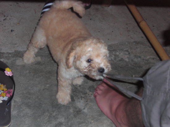 spielen... spielen... spielen...