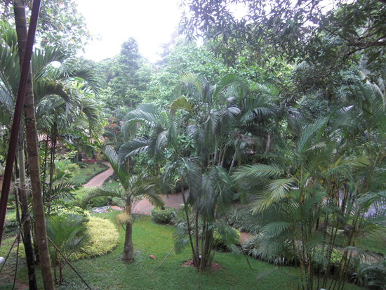 Ausblick vom Balkon...