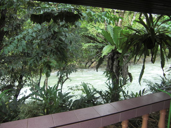 Ausblick von unserem Bungalow auf den Klong Sok 
River.