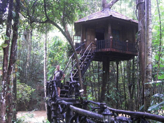 bewohnbares Baumhaus