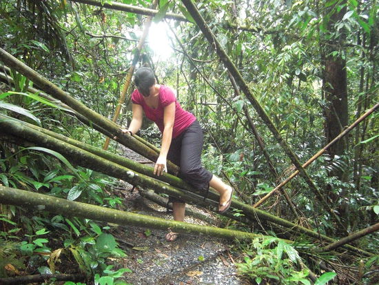 kleinere Hindernisse waren zu ueberwinden - man beachte Julia's alpentaugliches Schuhwerk... 