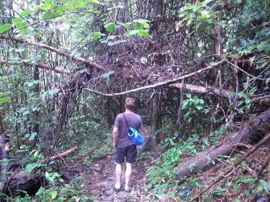 Natur pur ueberall...