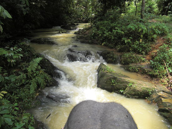 auch diesen kleinen Wasserfall hinauf hat er uns sicher getragen; irre mit welchem Feingefuehl diese Tiere ihre Schritte setzen