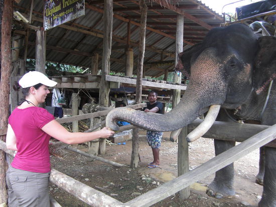 zur Belohnung gabs Bambus...