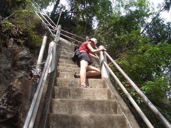 Auch wenn der Aufstieg anstrengend und nicht immer leicht war - für die Aussicht hat es sich gelohnt. Das ist der Plan für die nächsten 9 Monate.