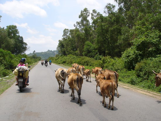 Irgendwo im Hochland von Vietnam. Der perfekte Tag.