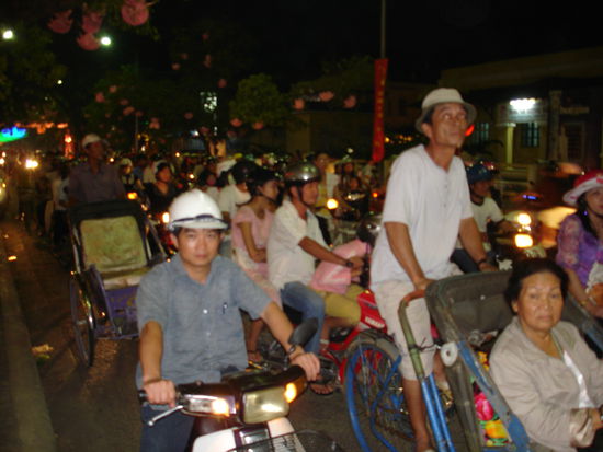 Traffic entlang des Flusses. In den Baeumen die rosa Seerosen.