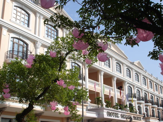 Ist das nicht schoen? So sind alle Baeume in der gsamten Stadt geschmueckt.