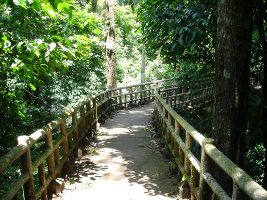 Mitten im Dschungel auf dem Rueckweg von der Hoehle.
