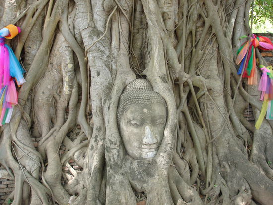 Ist er nicht schoen verwachsen?