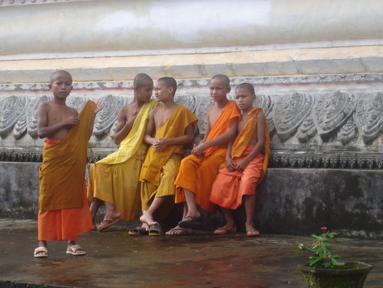 Und wieder verdammt junge Monks.