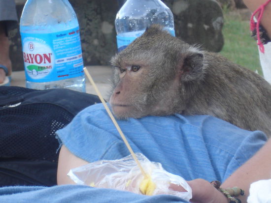 Ich will doch nur kuscheln.