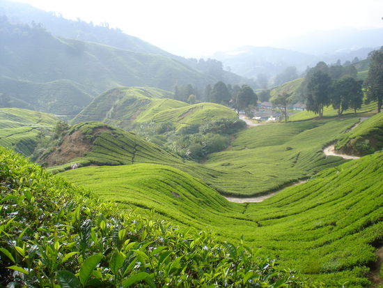 Ja so hatten wir uns das vorgestellt...