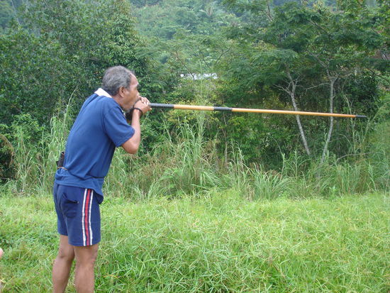 Und danach gab es das "wer trifft den Baum am besten"-Match