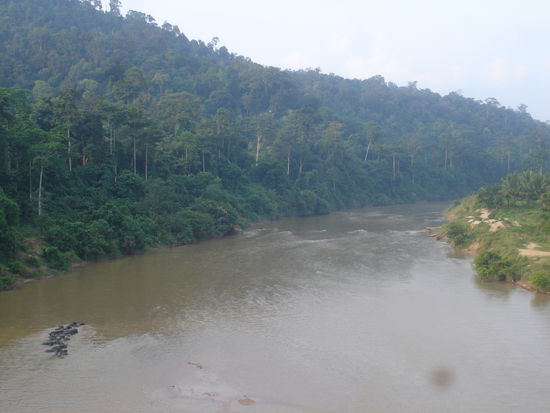 Links die Seekuehe hatte ich selber uebersehen