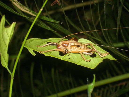 Von weitem doch auch schoen