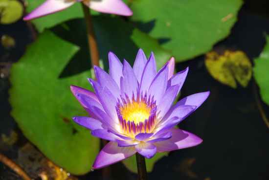 Meine ersten Gehversuche mit meiner Kamera