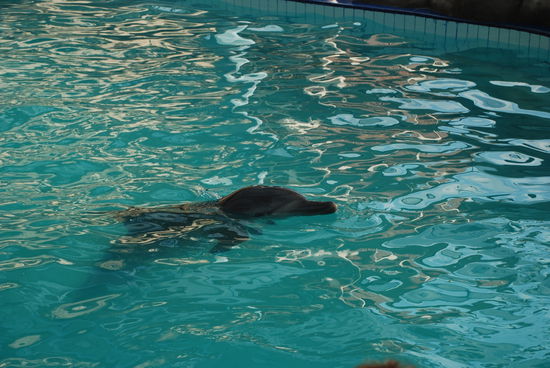 Nach langem nachdenken dann doch