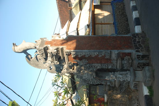 LOvina, die Delphinstadt