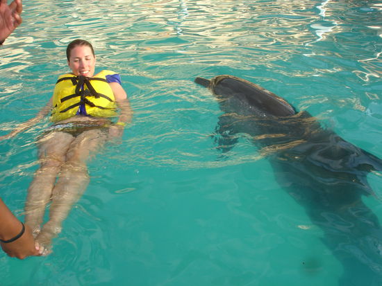 Langsames kennenlernen