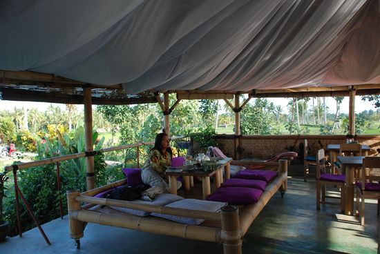 Die Organicfarm mitten in den Reisfeldern.