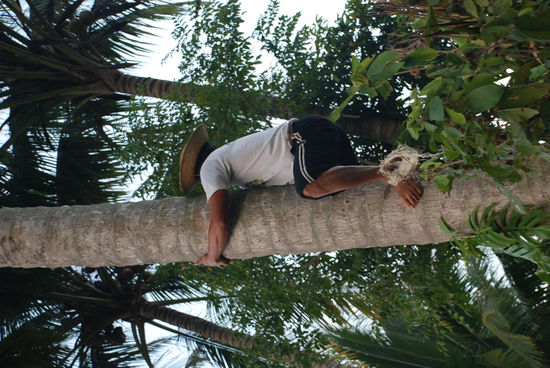 Morgend beim Sonnenaufgang.