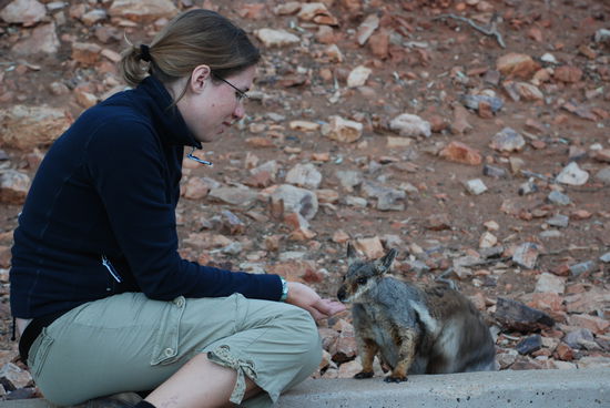 Den hab ich danach eingepackt. Ich konnte einfach nicht widerstehen