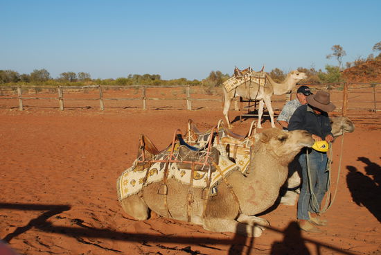 Der erste Stop bei unserer Outback Tour.