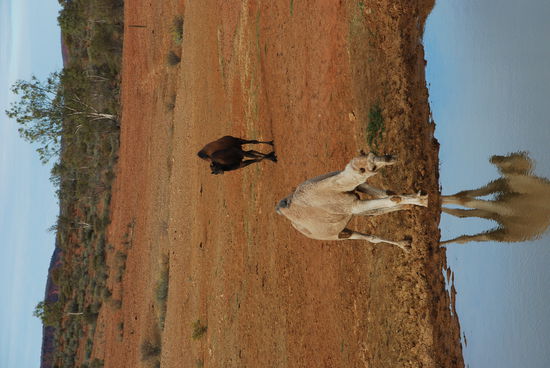 Und wenn man nichts bezahlen moechte, dann hat man die Moeglichkeit sowas zu sehen.