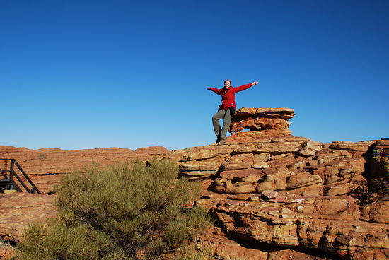 Bienchen kann fliegen...