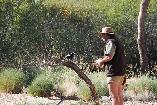 Im Desert Park - Alice Springs