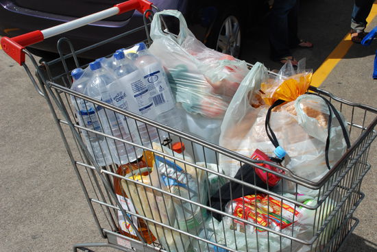 Der Einkauf fuer eine Woche und 3 Personen. Ohne Alkohol!