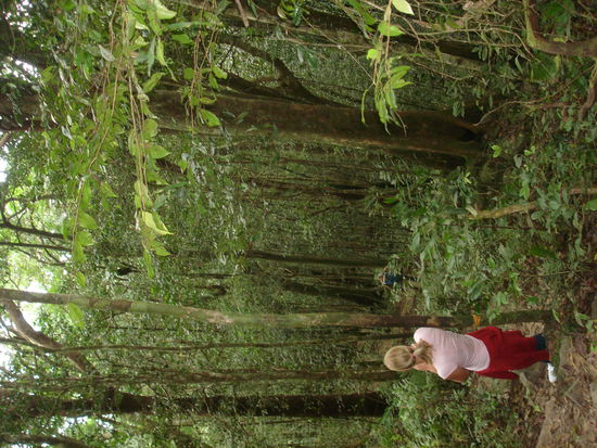 DER Abstieg... das kommt auf den Fotos nie rueber!