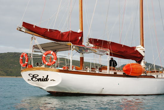 Hat sie nicht einen schoenen Arsch?