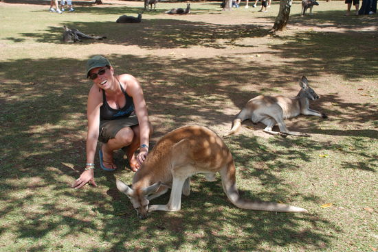 Binechen im Streichelzoo