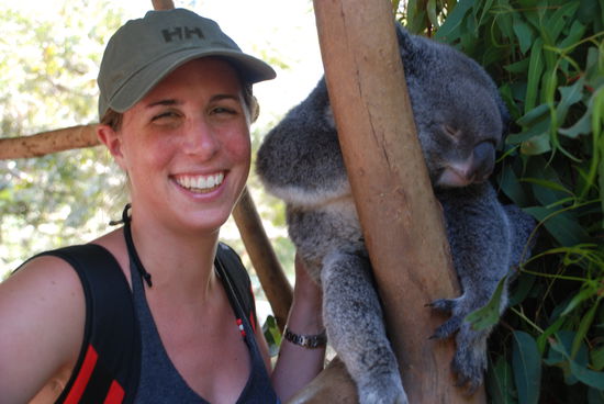 Juhu mein erster Koala. Ganz nah.