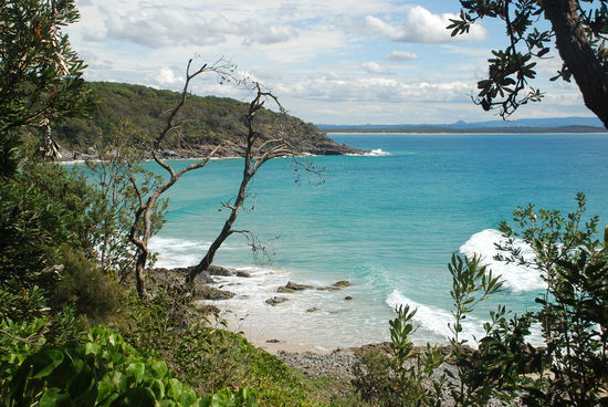 Der NP entlang der Kueste von Noosa