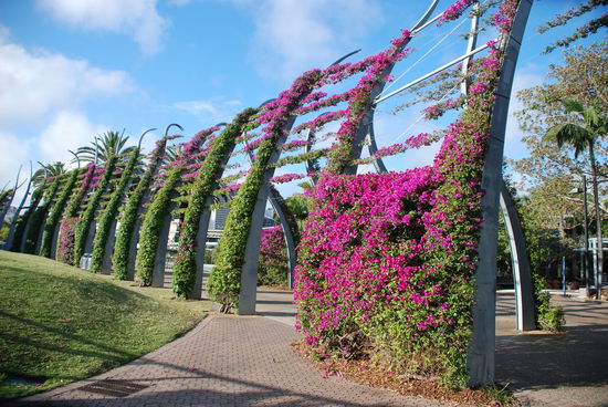 Na ist das eine Allee? Sowas bitte als Einfahrt zu meinem Haus.