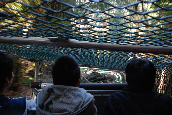 Wenn ich vorher gewusst haette wie steil das ist!