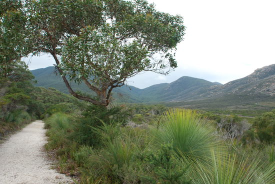 The Prom in seiner ganzen Schoenheit