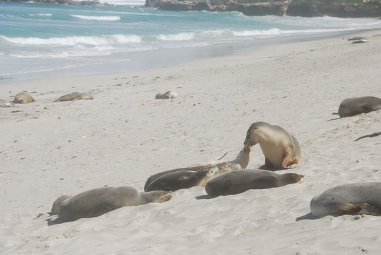 Ein dickes Buetzchen, nur duer dich...