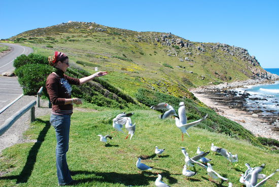 Wir wollen m(e)e(h)r